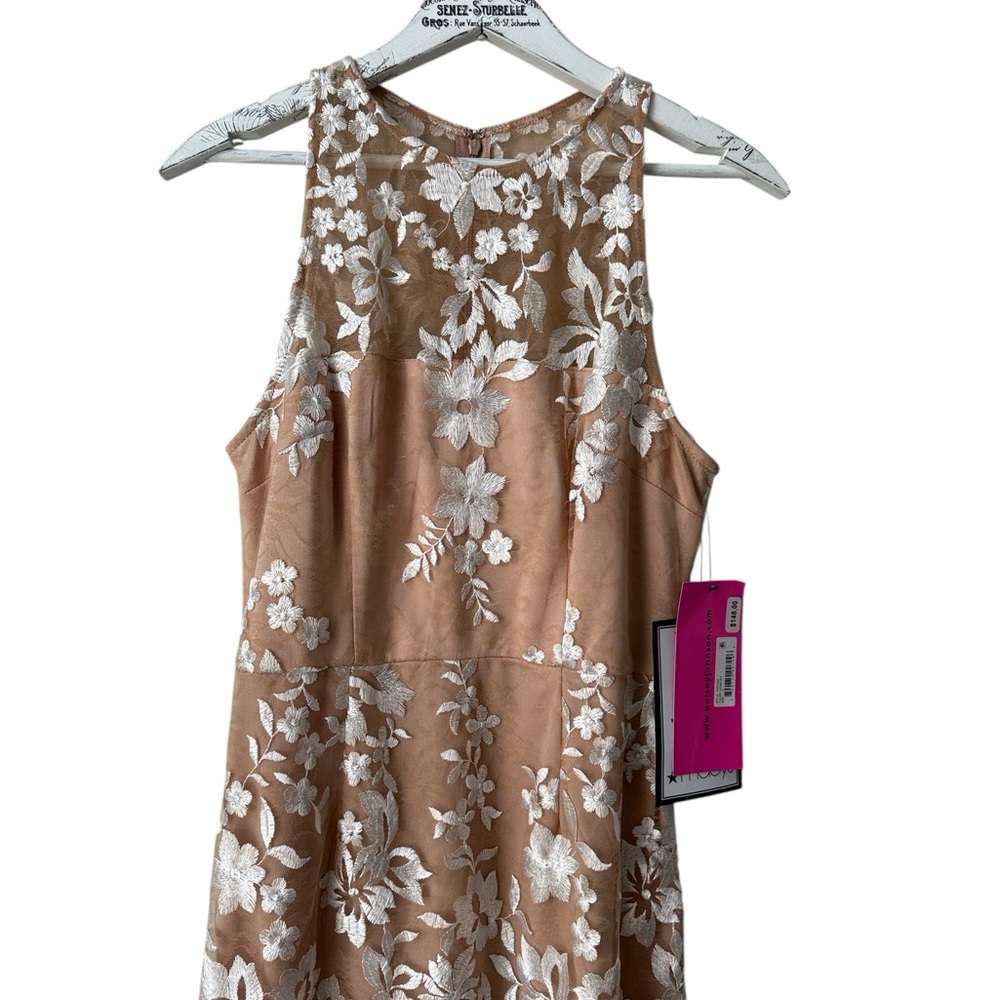 Betsey Johnson Embroidered Mesh Illusion Dress In Nude Ivory Size 4 NWT - Picture 3 of 8